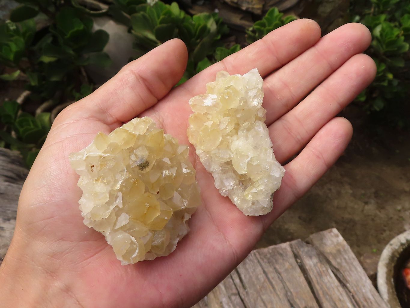 Natural Small Golden Lemonite / Limonite Quartz Clusters  x 36 From Zambia - Toprock Gemstones and Minerals 