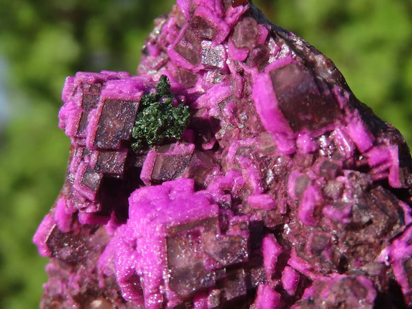 Natural Pink Salrose Cobaltion Dolomite Specimens With Black Heterogonite  x 12 From Kakanda, Congo - Toprock Gemstones and Minerals 