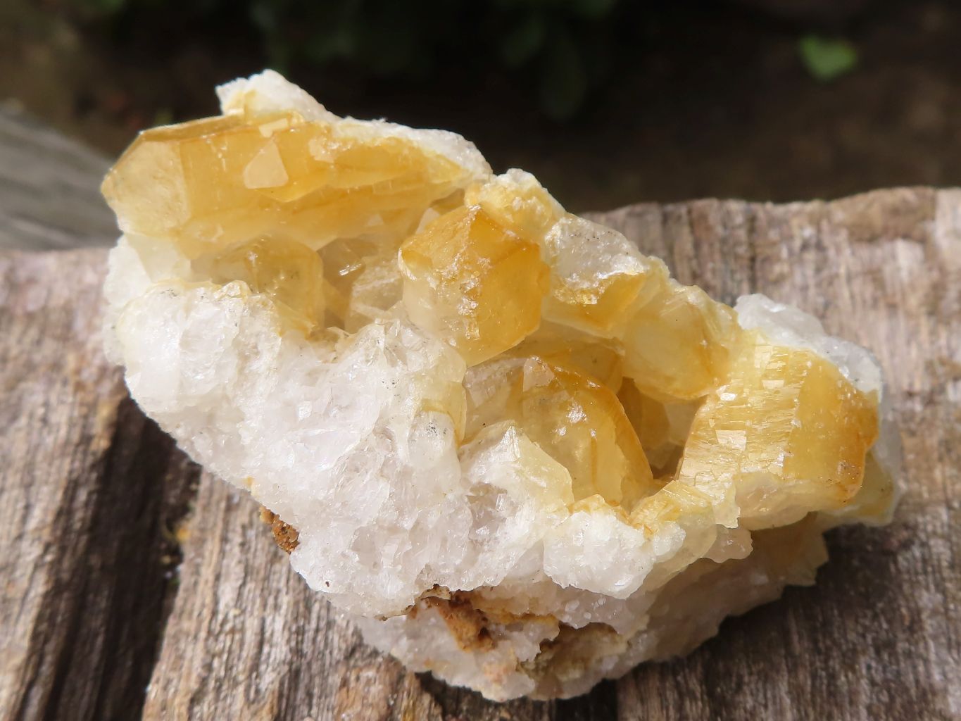 Natural Small Golden Lemonite / Limonite Quartz Clusters  x 36 From Zambia - Toprock Gemstones and Minerals 