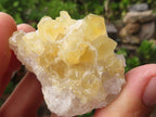 Natural Small Golden Lemonite / Limonite Quartz Clusters  x 36 From Zambia - Toprock Gemstones and Minerals 
