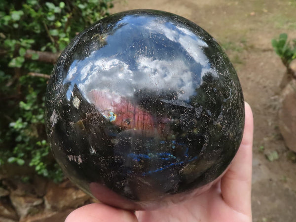 Polished Extra Large Labradorite Sphere & Palisandre Rose Wood Stand  x 2 From Madagascar - TopRock