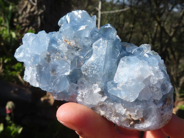 Natural Blue Celestite Crystal Specimens  x 6 From Sakoany, Madagascar