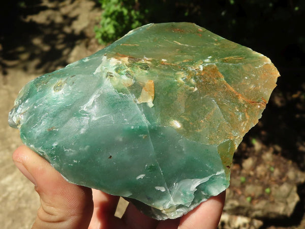 Natural Rough Cobbed Jade Specimens  x 14 From Swaziland - TopRock