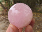 Polished Pink Rose Quartz Spheres  x 6 From Ambatondrazaka, Madagascar - TopRock