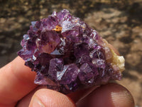 Natural Small Dark "Amethystos" Amethyst Clusters x 63 From Kwaggafontein, South Africa - TopRock