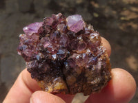 Natural Small Dark "Amethystos" Amethyst Clusters x 63 From Kwaggafontein, South Africa - TopRock