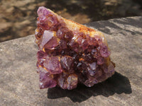 Natural Small Dark "Amethystos" Amethyst Clusters x 63 From Kwaggafontein, South Africa - TopRock
