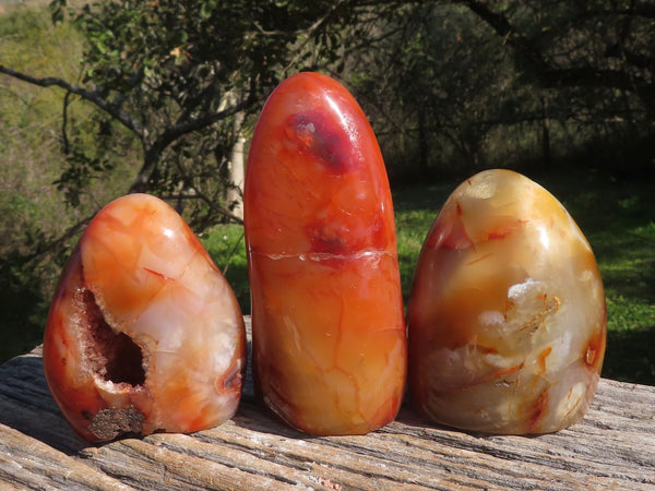 Polished Carnelian Agate Standing Free Forms With Stunning Patterns & Colours x 3 From Madagascar - TopRock