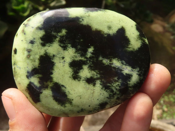 Polished Extra Large Leopard Stone Gallets x From Zimbabwe