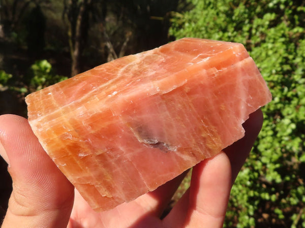Natural New Sunset Orange Calcite Specimens  x 6 From Spitzkop, Namibia