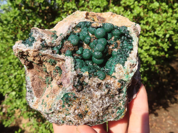 Natural Rare Ball Malachite On Drusy Quartz & Dolomite Matrix  x 2 From Kambove, Congo