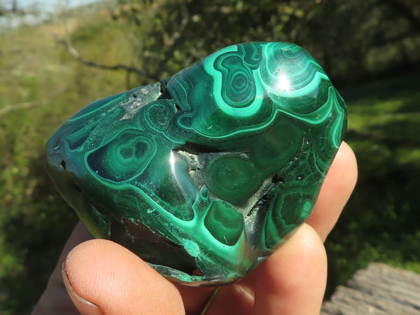 Polished Flower & Banded Malachite Free Forms  x 6 From Congo - TopRock