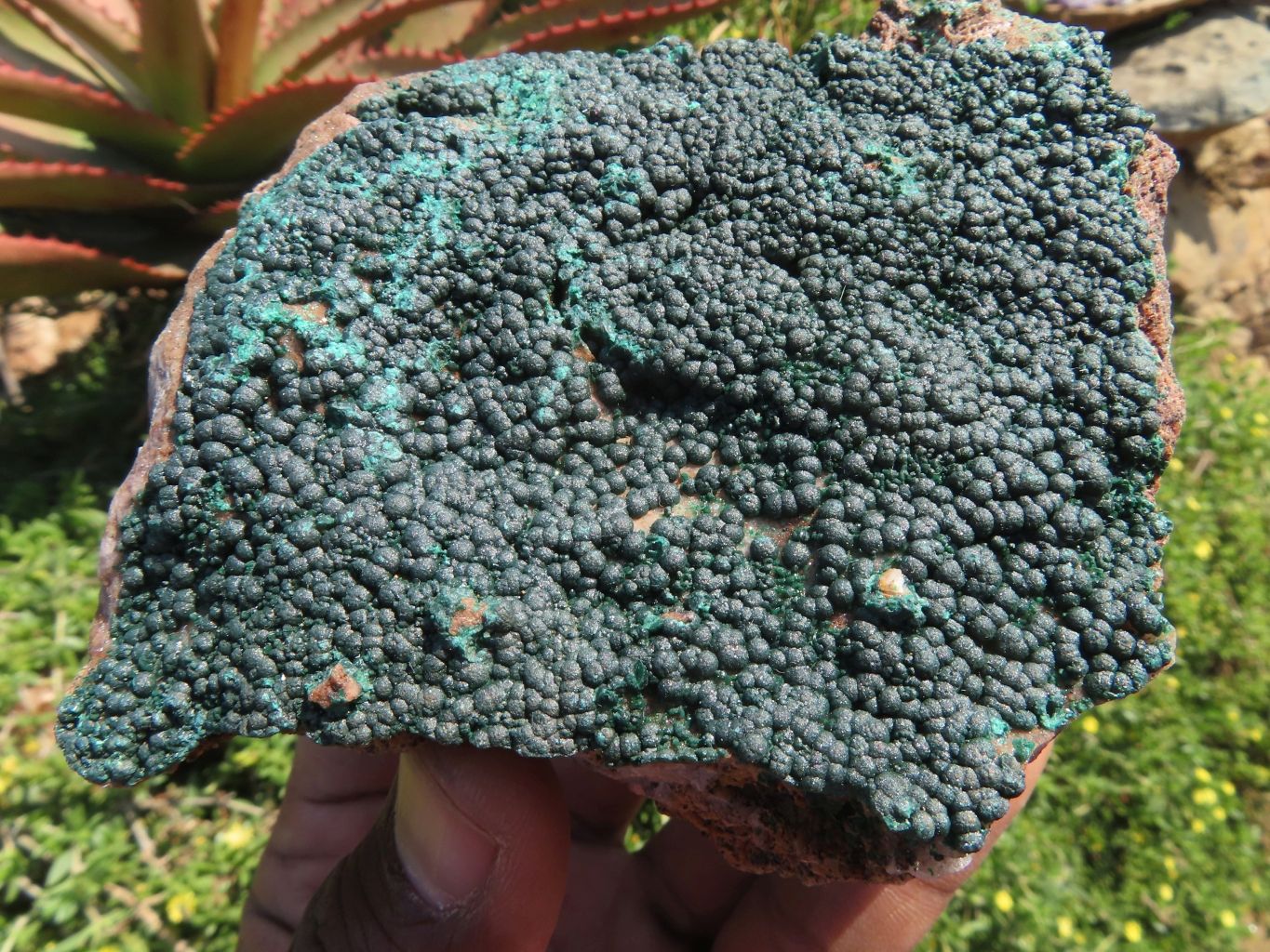 Natural Malachite Crystalline Specimens x 3 From Tenke Fungurume, Congo - TopRock