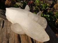 Natural Lovely White Quartz Clusters  x 2 From Madagascar - Toprock Gemstones and Minerals 