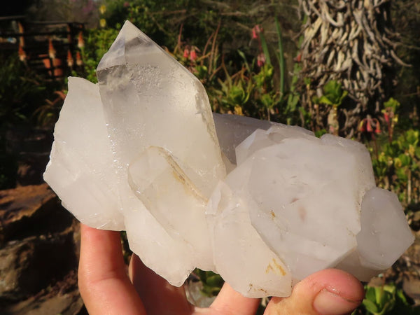 Natural Lovely White Quartz Clusters  x 2 From Madagascar - Toprock Gemstones and Minerals 