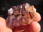 Natural Smokey Window Amethyst Crystal Specimens  x 12 From Chiredzi, Zimbabwe - Toprock Gemstones and Minerals 