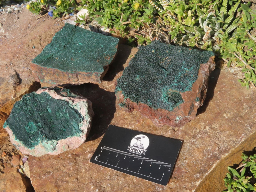 Natural Malachite Crystalline Specimens x 3 From Tenke Fungurume, Congo - TopRock