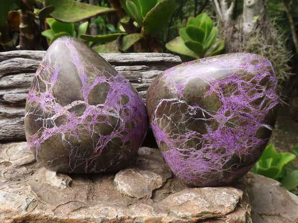 Polished Stichtite & Serpentine Standing Free Forms With Silky Purple Threads  x 2 From Barberton, South Africa - Toprock Gemstones and Minerals 
