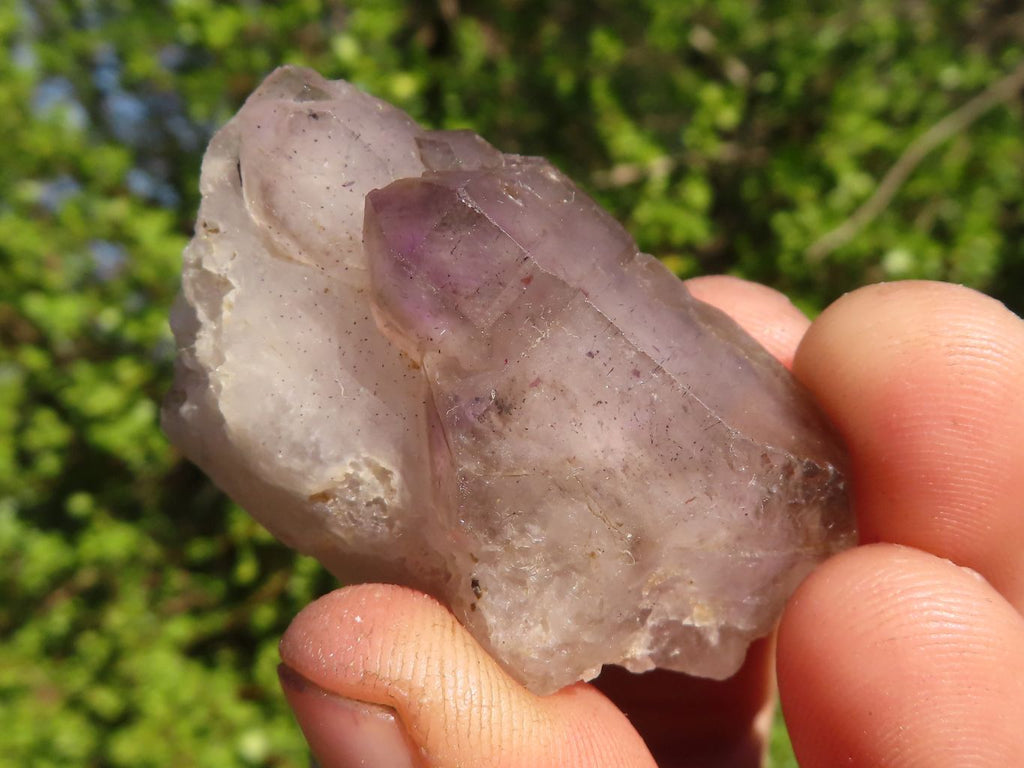 Natural Smokey Window Amethyst Crystal Specimens  x 12 From Chiredzi, Zimbabwe - Toprock Gemstones and Minerals 