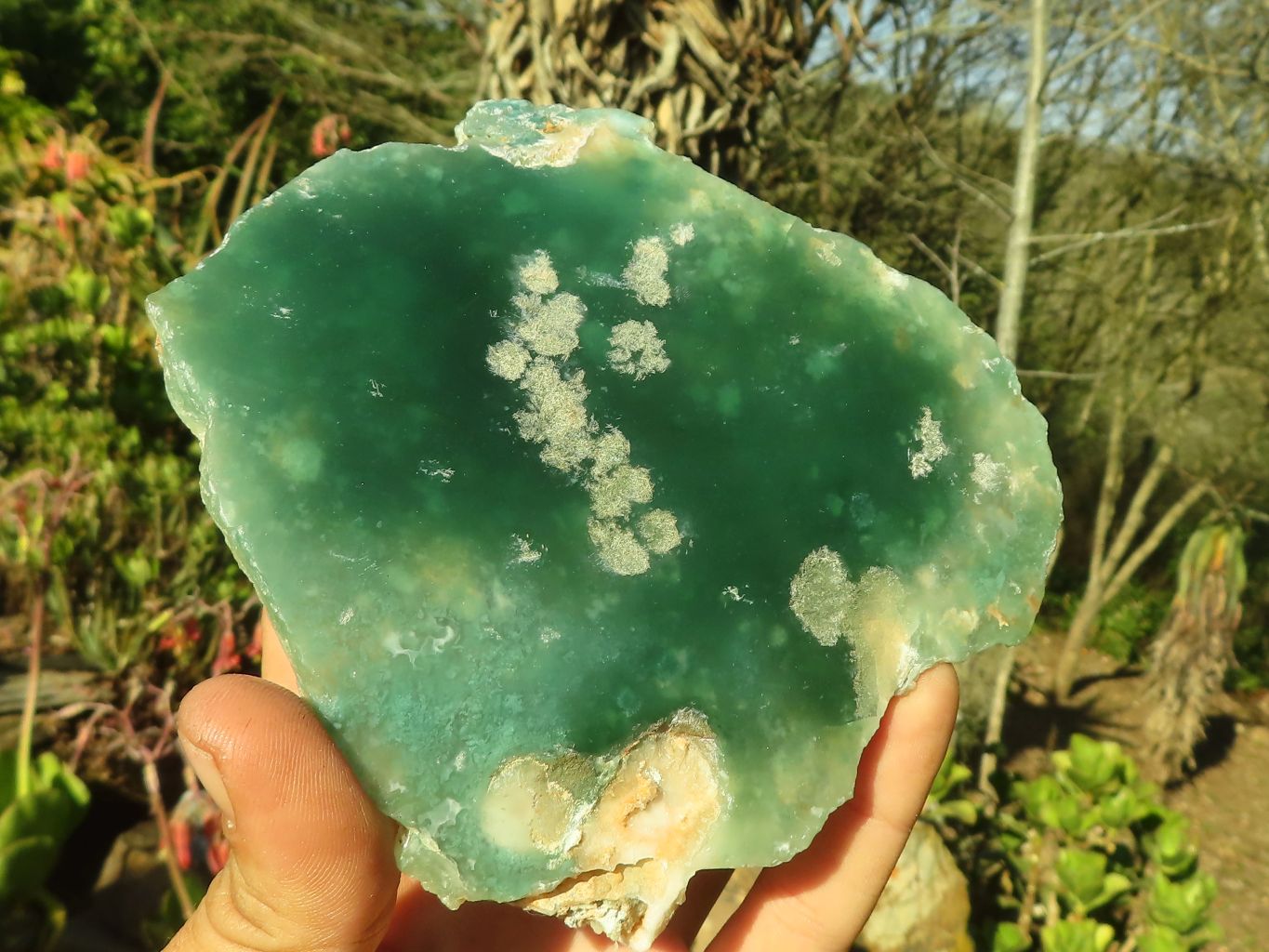 Polished One Side Polished Emerald Mtorolite Plates  x 2 From Zimbabwe - Toprock Gemstones and Minerals 