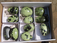 Polished Leopard Stone Gallets & Free Forms x 11 From Nyanga & Shamva, Zimbabwe - TopRock