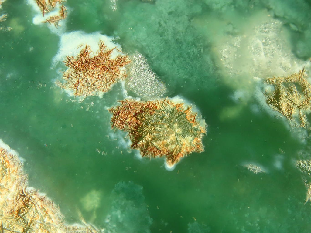 Polished One Side Polished Emerald Mtorolite Plates  x 2 From Zimbabwe - Toprock Gemstones and Minerals 