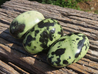 Polished Leopard Stone Gallets & Free Forms x 11 From Nyanga & Shamva, Zimbabwe - TopRock