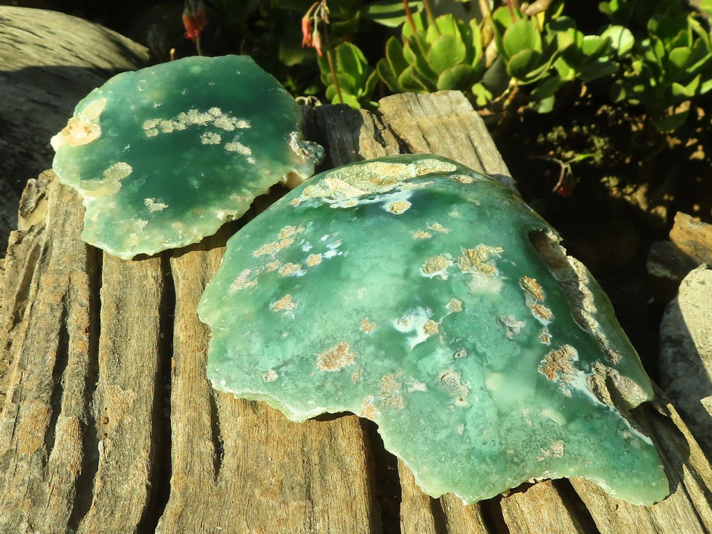 Polished One Side Polished Emerald Mtorolite Plates  x 2 From Zimbabwe - Toprock Gemstones and Minerals 