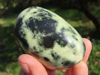 Polished Leopard Stone Gallets & Free Forms x 11 From Nyanga & Shamva, Zimbabwe - TopRock