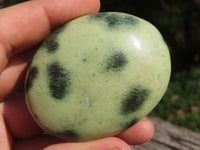 Polished Leopard Stone Gallets & Free Forms x 11 From Nyanga & Shamva, Zimbabwe - TopRock