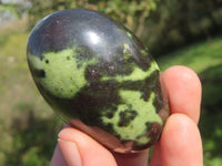 Polished Leopard Stone Gallets & Free Forms x 11 From Nyanga & Shamva, Zimbabwe - TopRock