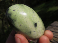 Polished Leopard Stone Gallets & Free Forms x 11 From Nyanga & Shamva, Zimbabwe - TopRock