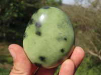Polished Leopard Stone Gallets & Free Forms x 11 From Nyanga & Shamva, Zimbabwe - TopRock