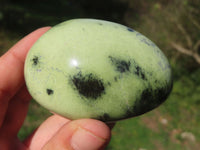 Polished Leopard Stone Gallets & Free Forms x 11 From Nyanga & Shamva, Zimbabwe - TopRock