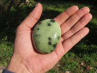 Polished Leopard Stone Gallets & Free Forms x 11 From Nyanga & Shamva, Zimbabwe - TopRock