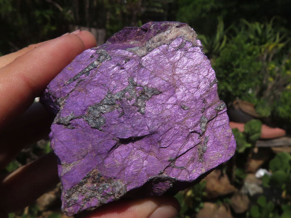 Natural Selected Rough Purpurite Specimens  x 6 From Namibia - TopRock