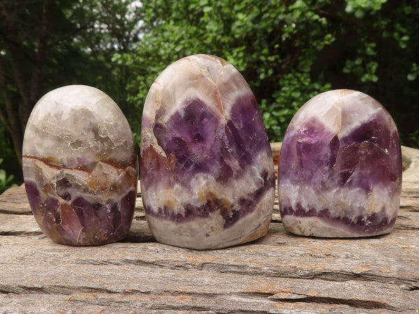 Polished Chevron Amethyst Standing Free Forms  x 6 From Zambia