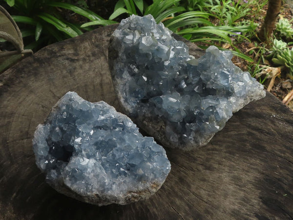 Natural Blue Celestite Specimens With Gemmy Cubic Crystals  x 2 From Sakoany, Madagascar - TopRock