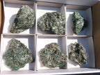 Natural Rare Emerald Mica In Matrix Cobbed Specimens x 6 From Mutoko, Zimbabwe - Toprock Gemstones and Minerals 