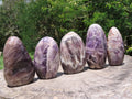 Polished Dream Amethyst Standing Free Forms x 5 From Madagascar - TopRock