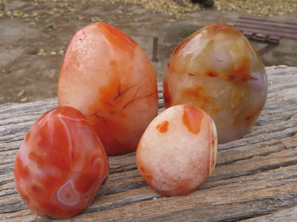 Polished White and Bright Orange Carnelian Standing Free Forms  x 5 From Madagascar - TopRock