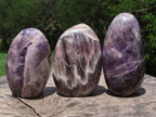 Polished Dream Amethyst Standing Free Forms x 5 From Madagascar - TopRock