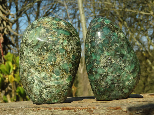 Polished Emerald Mica In Matrix Standing Free Forms x 2 From Mutoko, Zimbabwe - Toprock Gemstones and Minerals 