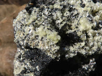 Natural Large Schorl Black Tourmaline Specimen With Quartz & Vermiculite x 1 From Erongo, Namibia - Toprock Gemstones and Minerals 