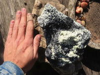 Natural Large Schorl Black Tourmaline Specimen With Quartz & Vermiculite x 1 From Erongo, Namibia - Toprock Gemstones and Minerals 