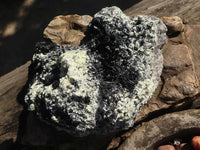 Natural Large Schorl Black Tourmaline Specimen With Quartz & Vermiculite x 1 From Erongo, Namibia - Toprock Gemstones and Minerals 
