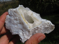 Polished Etched Blue Lace Agate Chalcedony Nodules x 10 From Malawi - TopRock
