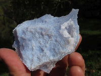 Polished Etched Blue Lace Agate Chalcedony Nodules x 10 From Malawi - TopRock