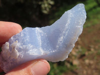 Polished Etched Blue Lace Agate Chalcedony Nodules x 10 From Malawi - TopRock