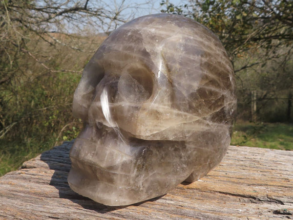 Polished Extra Large Morion Smokey Quartz Skull Carving x 1 From Madagascar - TopRock